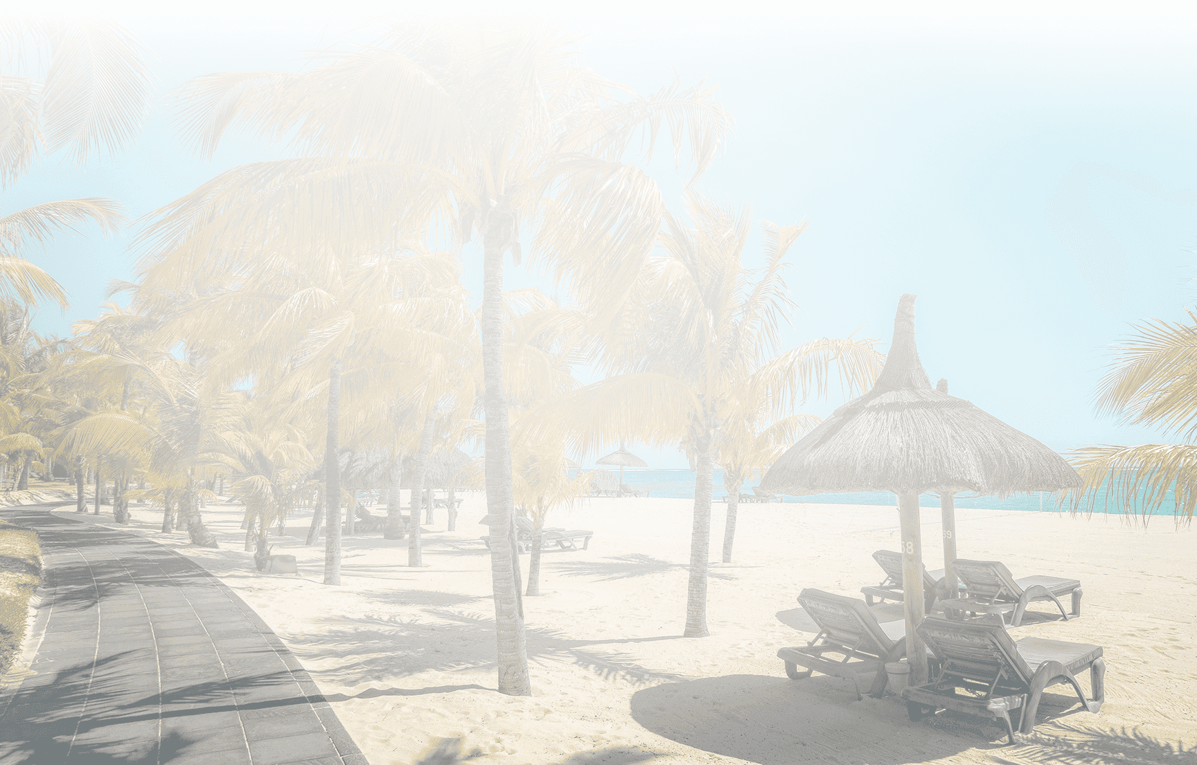 unsplash_xn1_BZLr2Io (1) (1).png