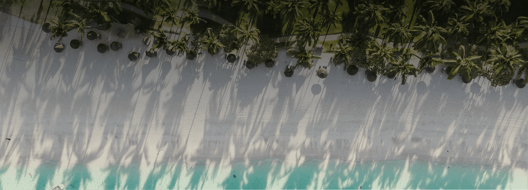 Rectangle 10 (2).png