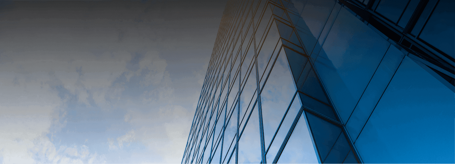 Rectangle 10 (5).png