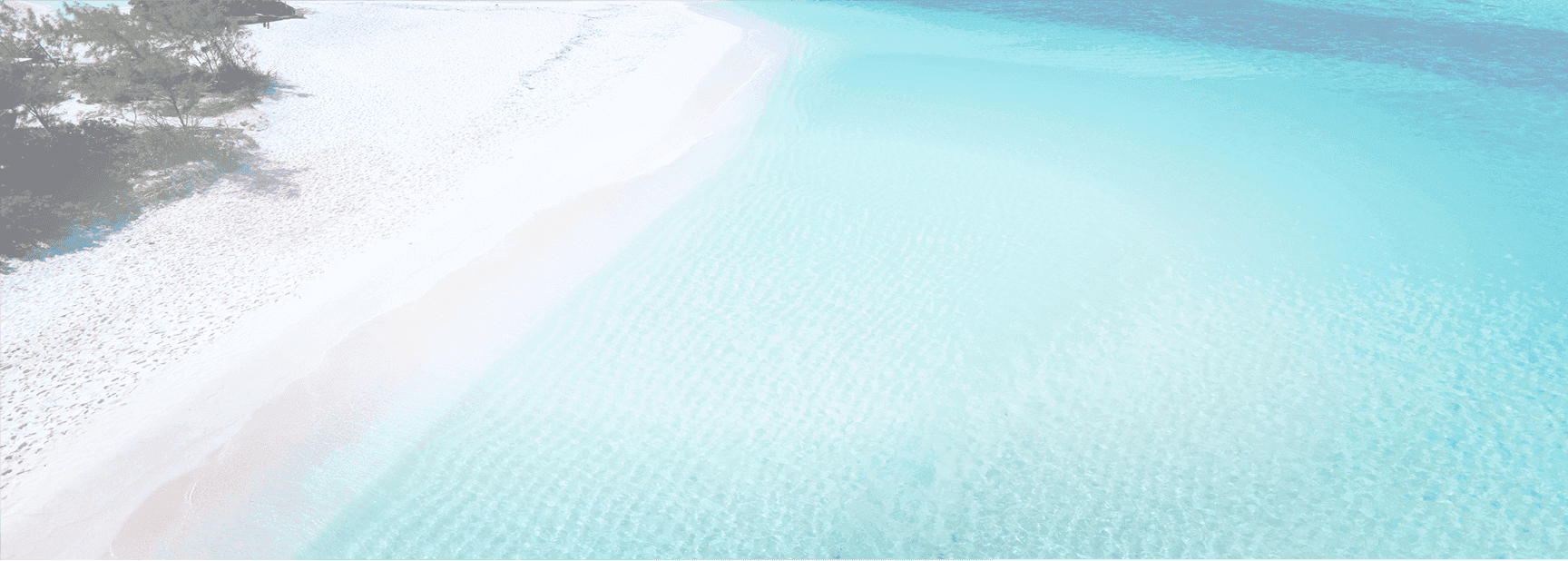 Rectangle 17 (2) 2.png